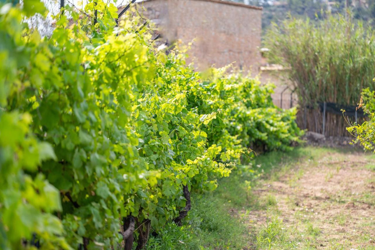 Ferienhaus Son Sant Joan